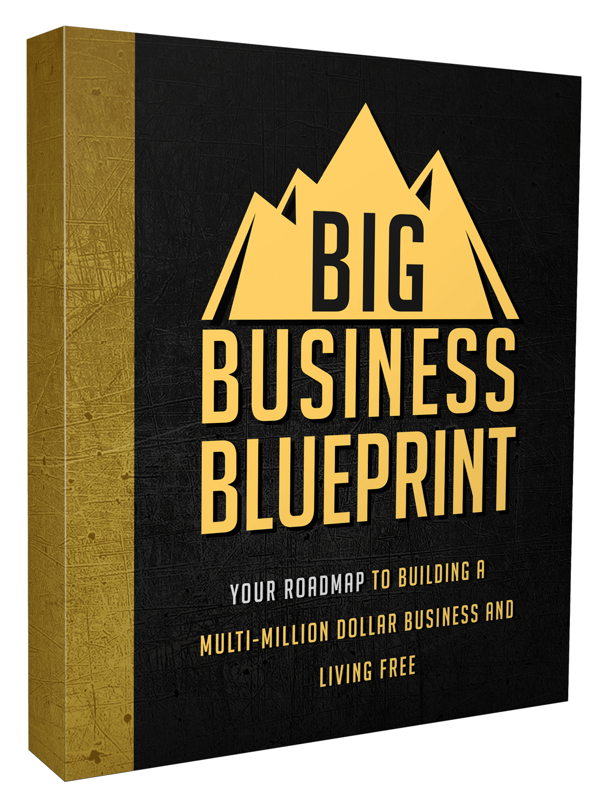 Big Business Blueprint Advanced