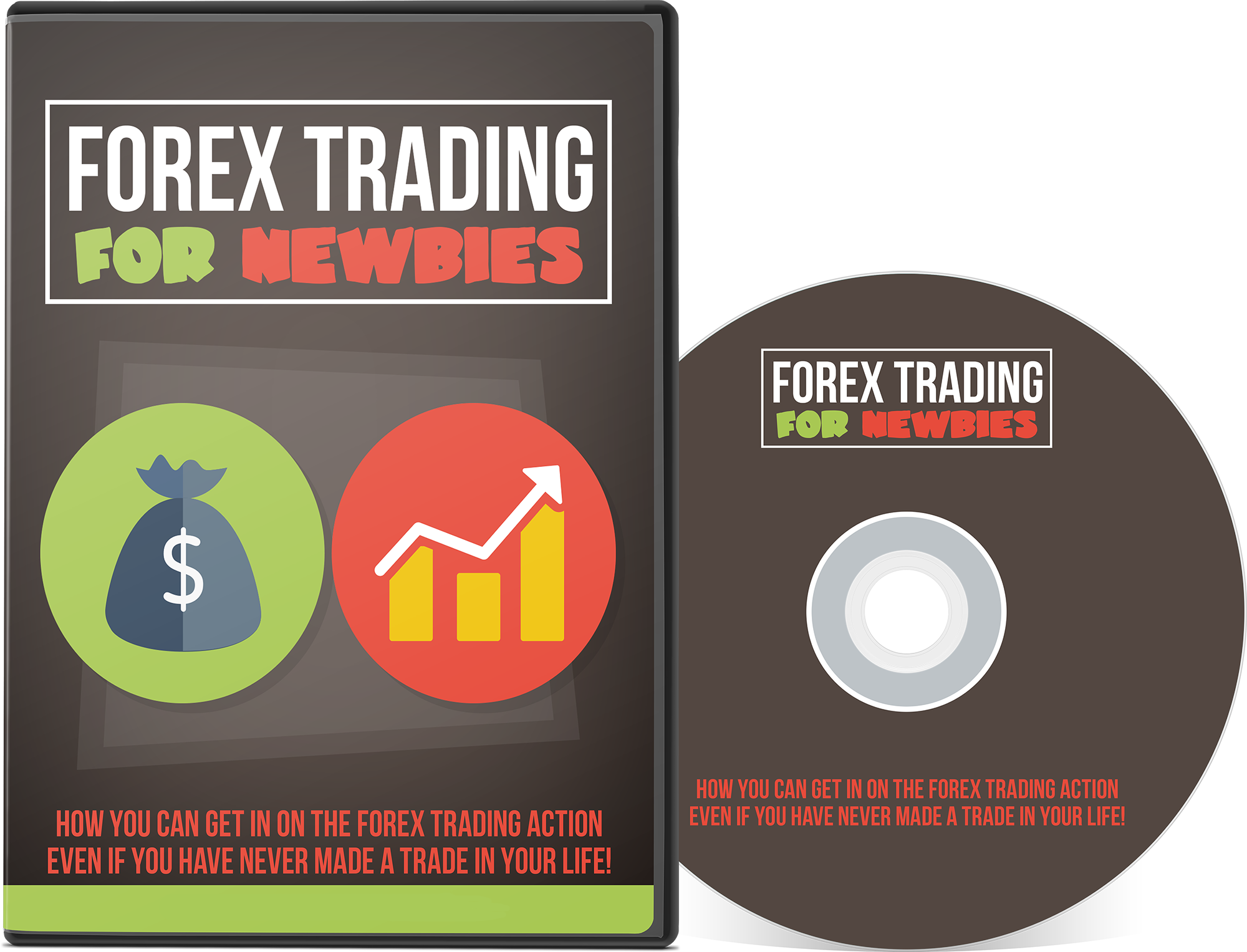 Forex Trading For Newbies